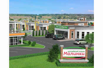 Дом в Малинках