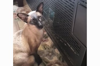  Отопление в квартирах