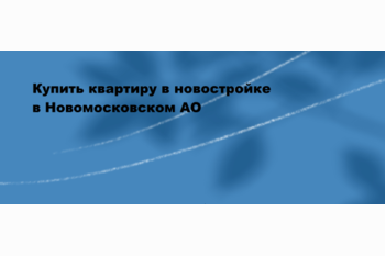  Купить квартиру в новостройке в Новомосковском АО