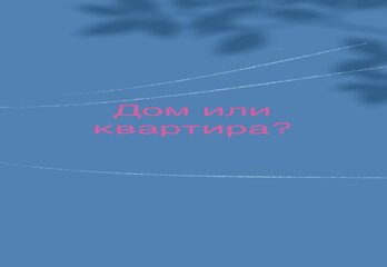 Квартира или дом?
