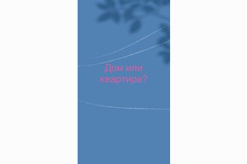  Квартира или дом?