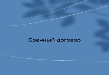 Брачный договор