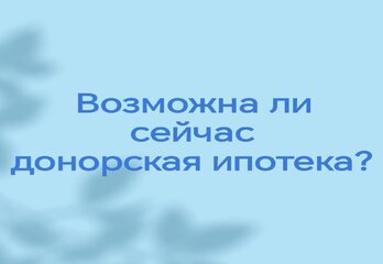 Возможна ли сейчас донорская ипотека?