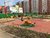 Однокомнатная квартира в Заводском районе