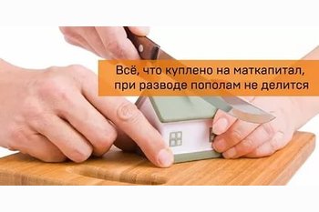  Делится ли то, что куплено на материнский капитал? НЕТ!