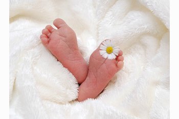  Программы маткапитала могут продлить еще на пять лет.