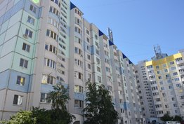 Шурова гора 7/11