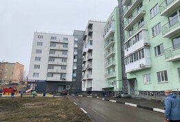 Однокомнатная квартира в Жасминном